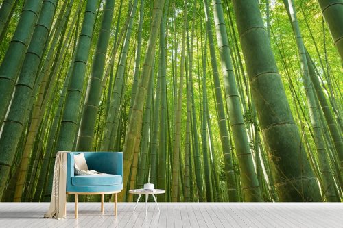 Bamboo Mural Wallpaper SMP-Scenery-001