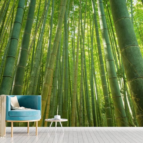 Bamboo Mural Wallpaper SMP-Scenery-001
