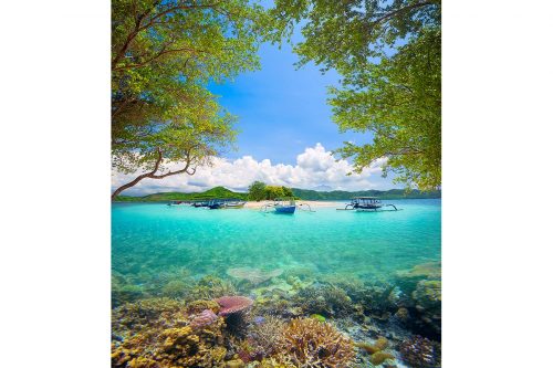 Coral and Beach Mural Wallpaper SMP-Scenery-006