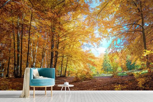 Autumn Forest Wallpaper SMP-Scenery-009
