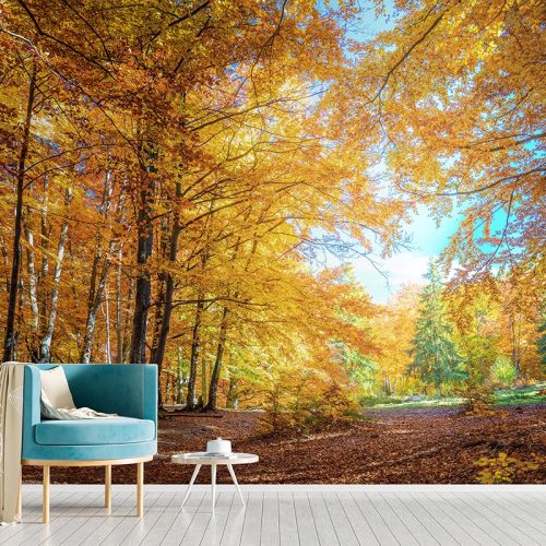 Autumn Forest Wallpaper SMP-Scenery-009