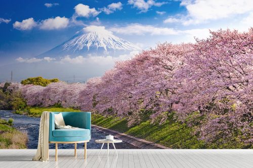 Astonished Mount Fuji Wallpaper SMP-Scenery-012