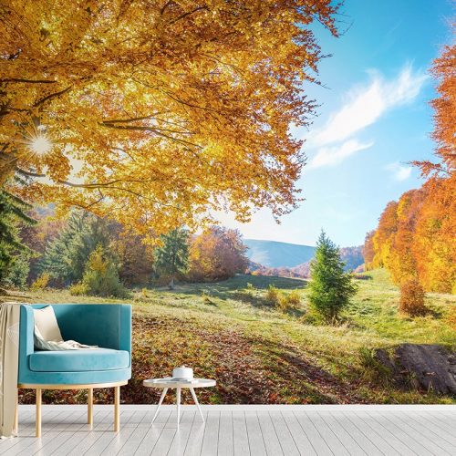 Autumn Scenery Wallpaper SMP-Scenery-023