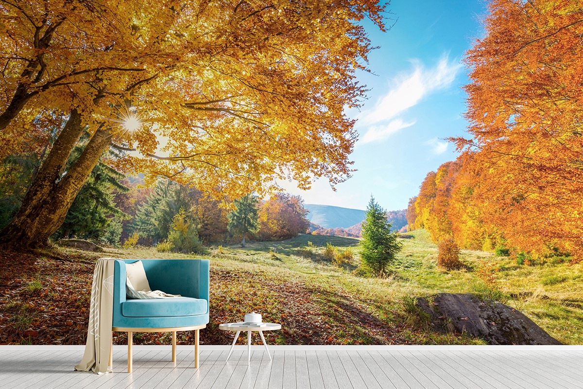 fall landscape wallpaper