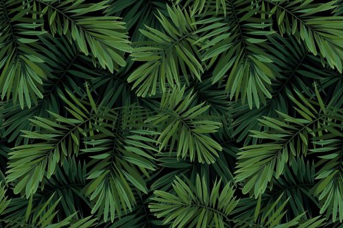 Fern Leaf Wallpaper (SM-Floral-024)