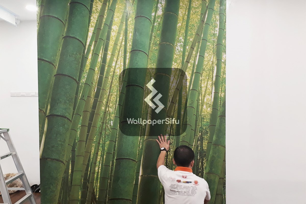 Bamboo Mural Wallpaper