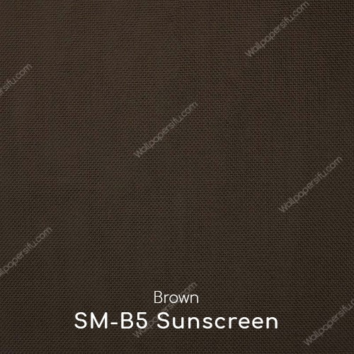 Dim-out Roller Blinds- SM-B5 Sunscreen Brown