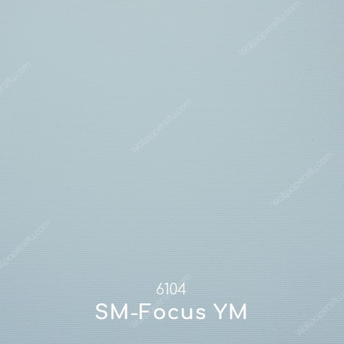 Roller Blinds -SM-Focus YM 6104