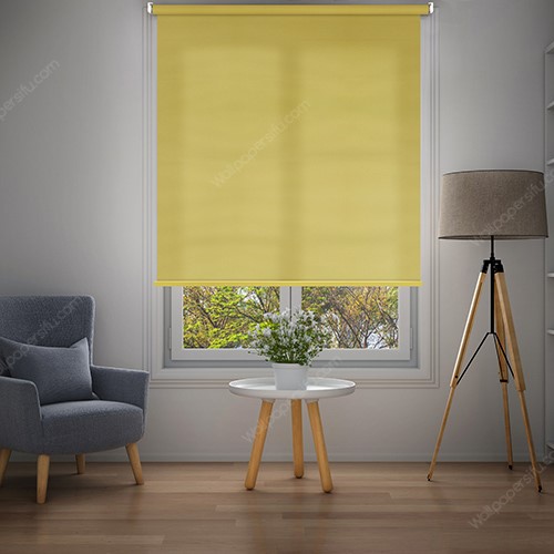 Dim-out Roller Blinds- SM-Nicky_photo