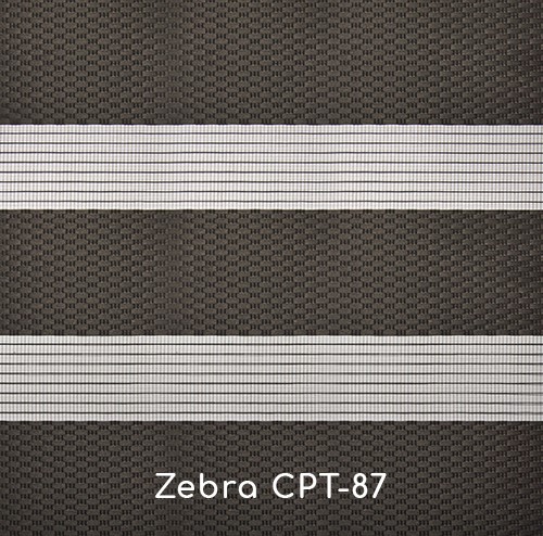Zebra SM-CPT-87